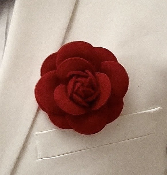 Camellia 5cm - 6,5cm
