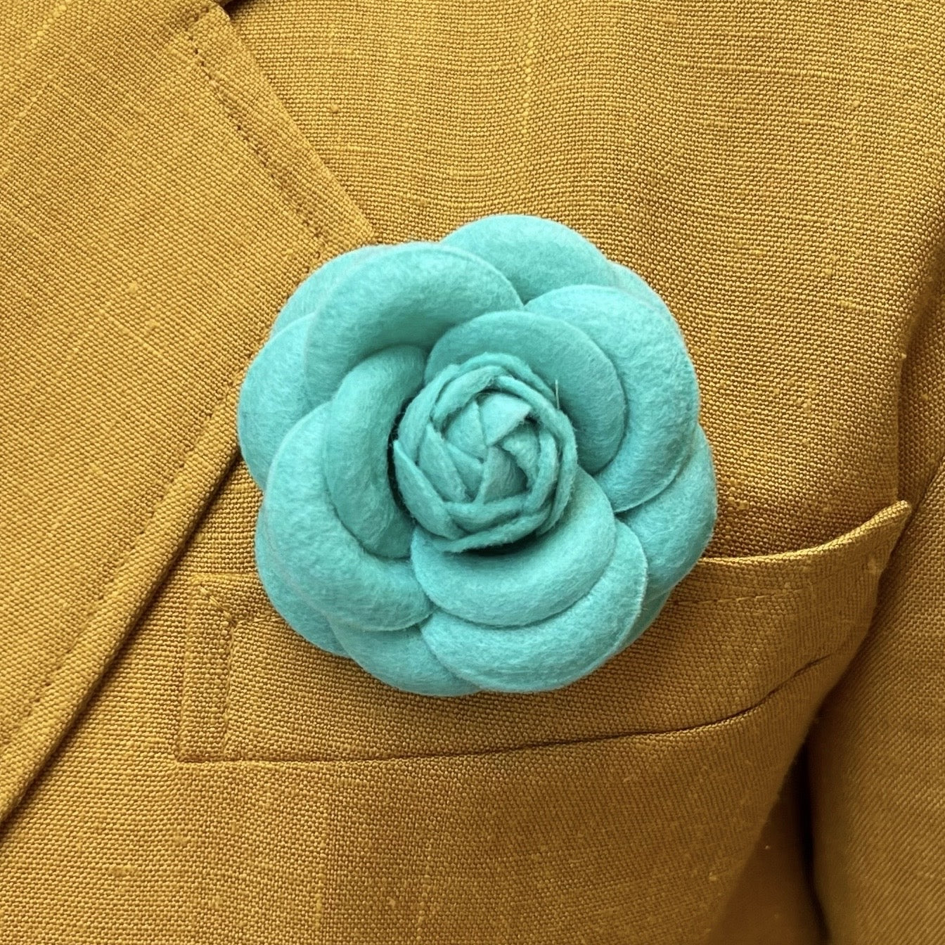Camellia 5cm - 6,5cm