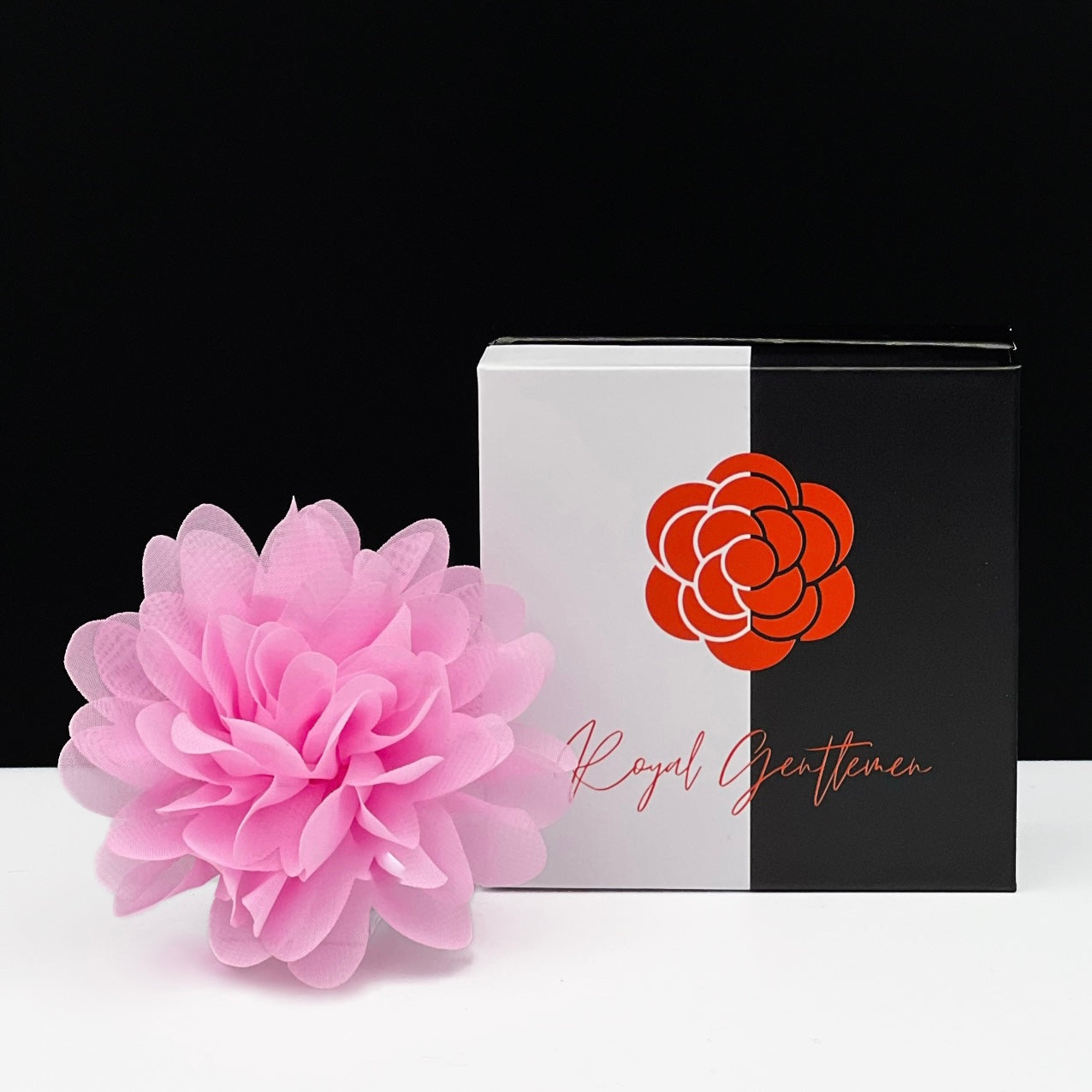 DAHLIA Flower