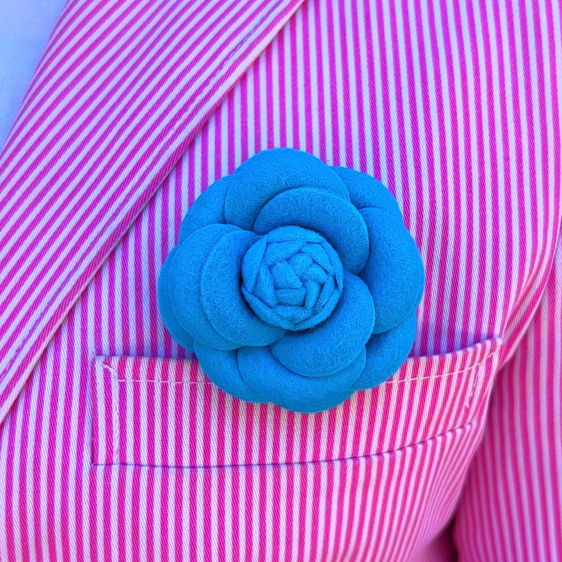 Camellia 5cm - 6,5cm