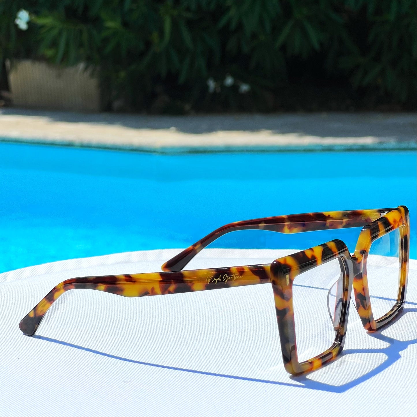 EYEWEAR PIERRE