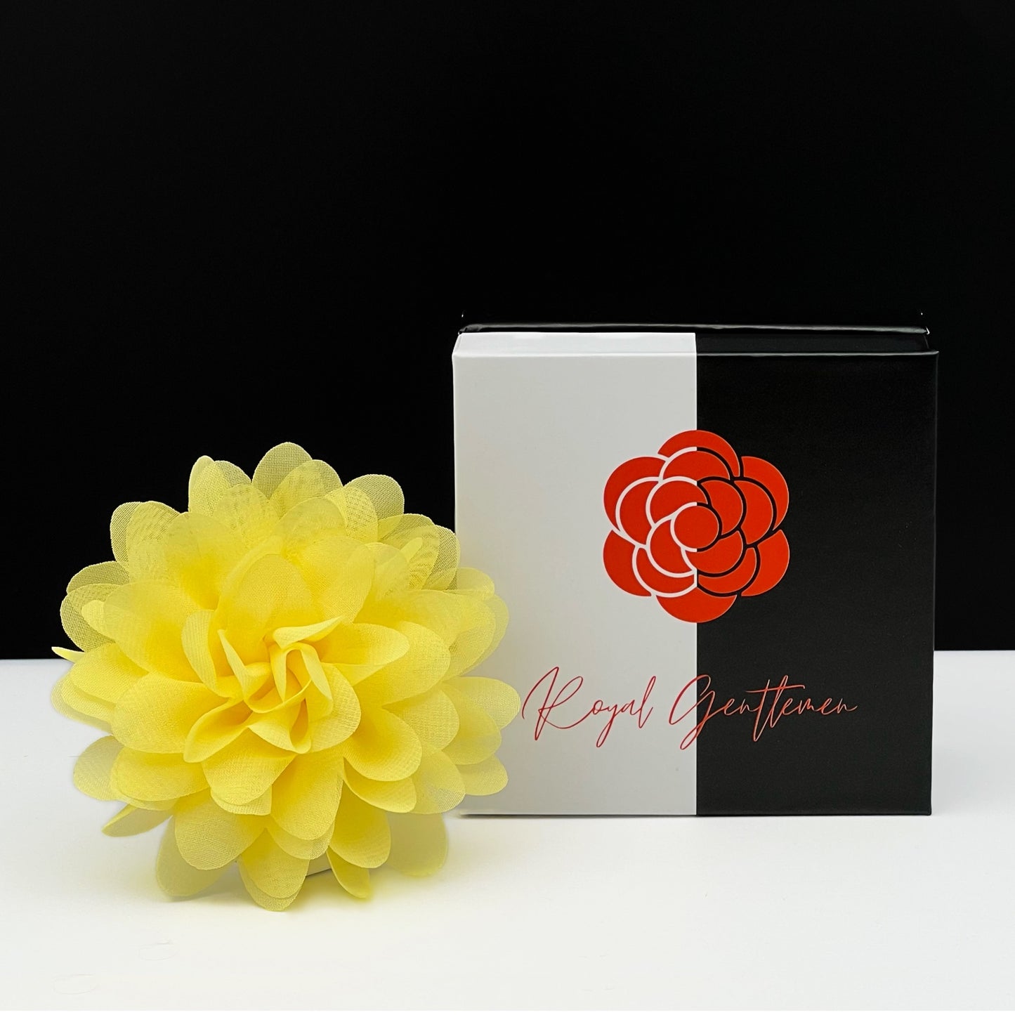 DAHLIA Flower