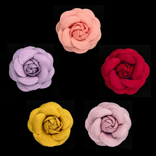 Camellia Collection 5x 5cm