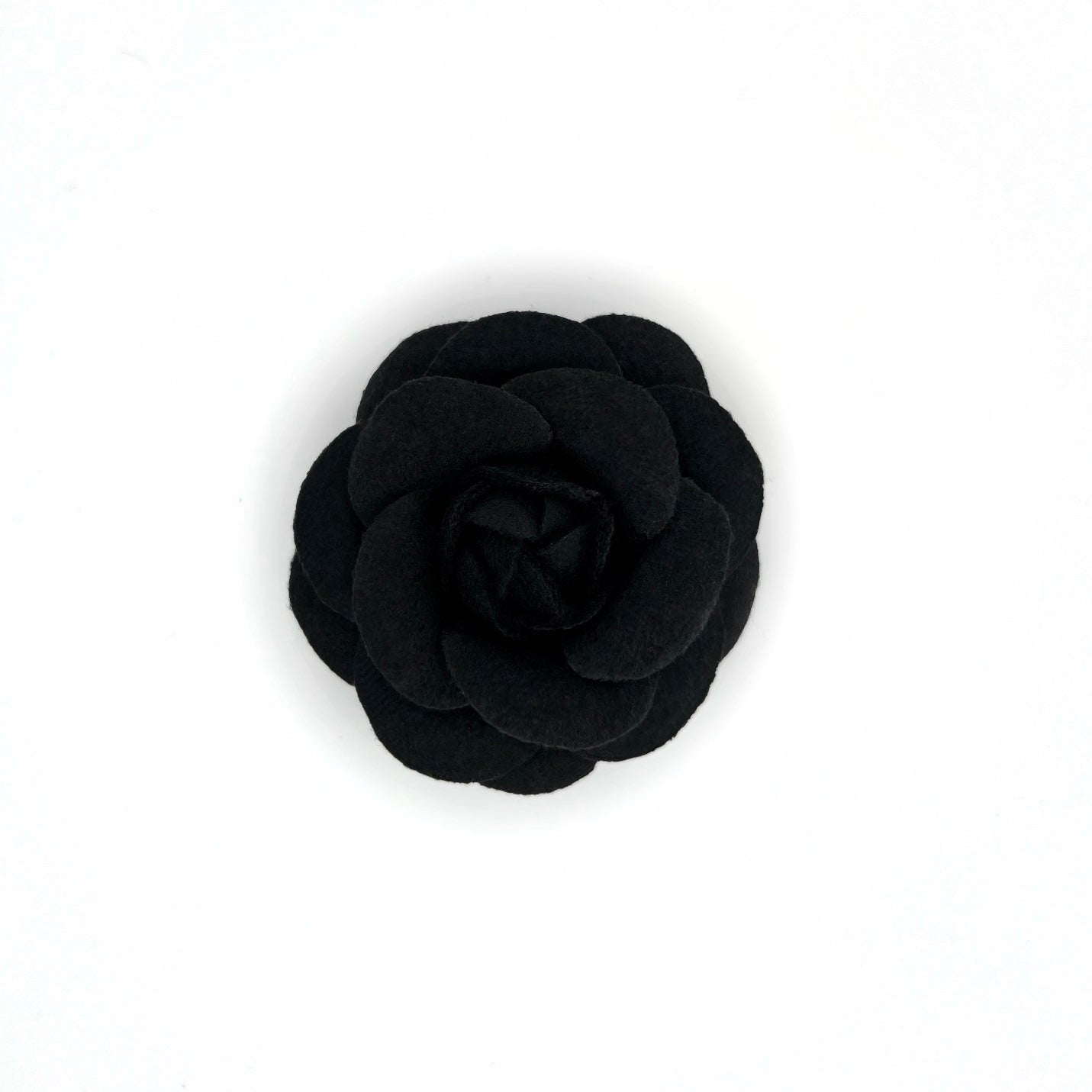 Camellia 5cm - 6,5cm