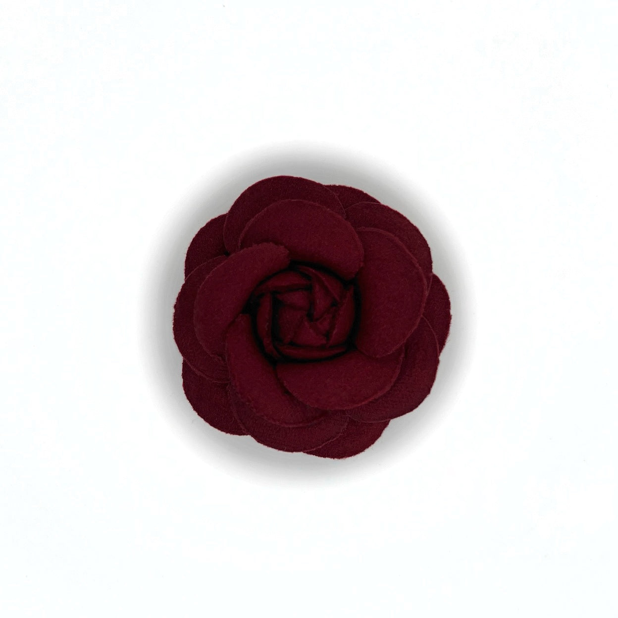 Camellia 5cm - 6,5cm