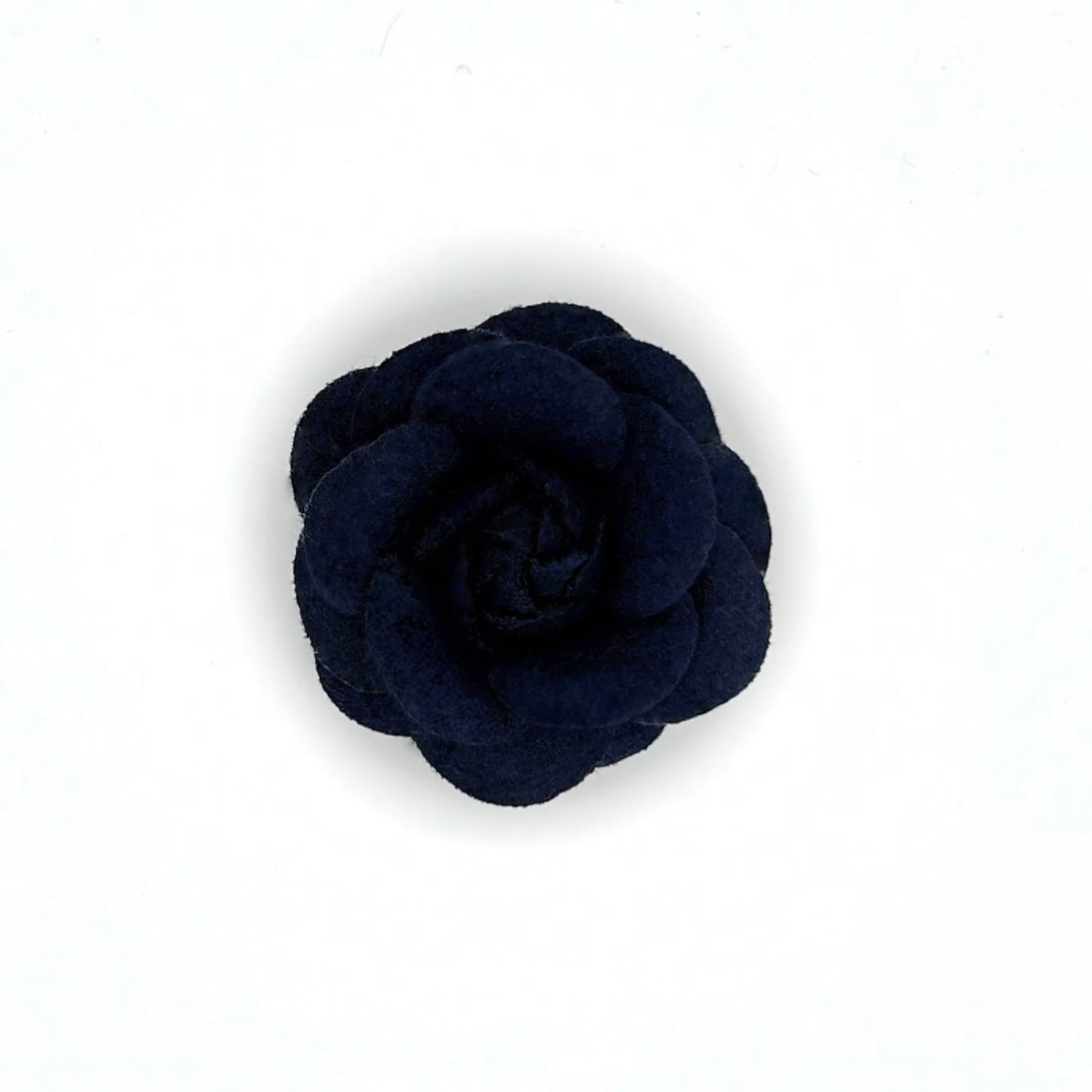 Camellia 5cm - 6,5cm