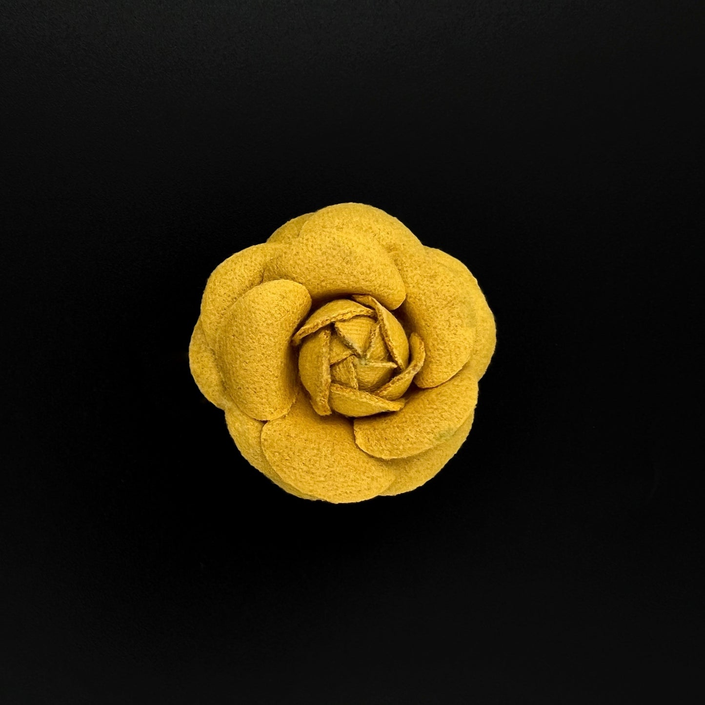 Camellia 5cm - 6,5cm
