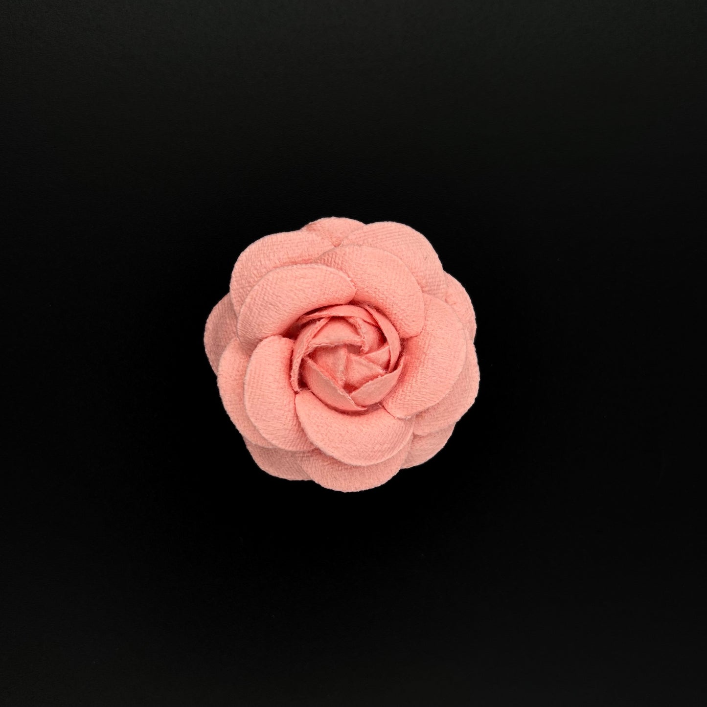 Camellia 5cm - 6,5cm