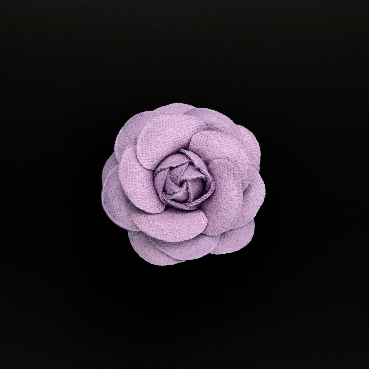 Camellia 5cm - 6,5cm