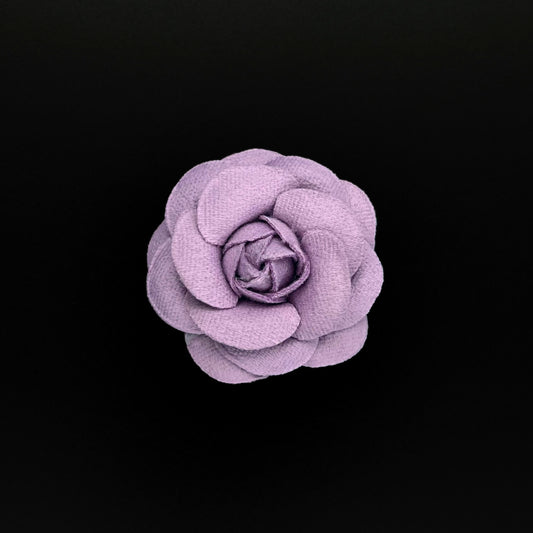 Camellia 5cm - 6,5cm