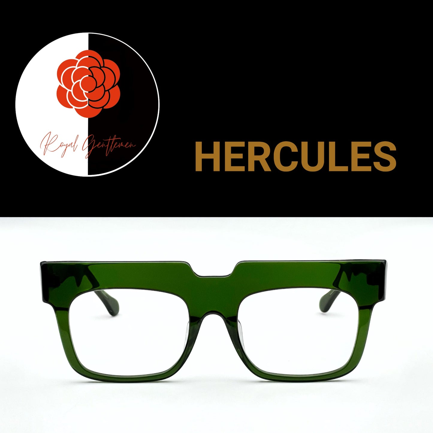 EYEWEAR HERCULES