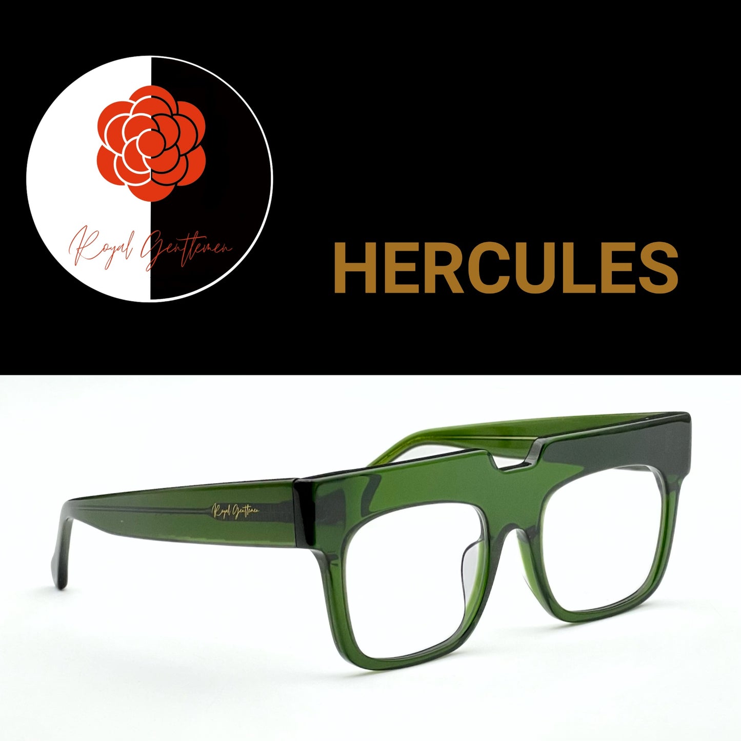 EYEWEAR HERCULES