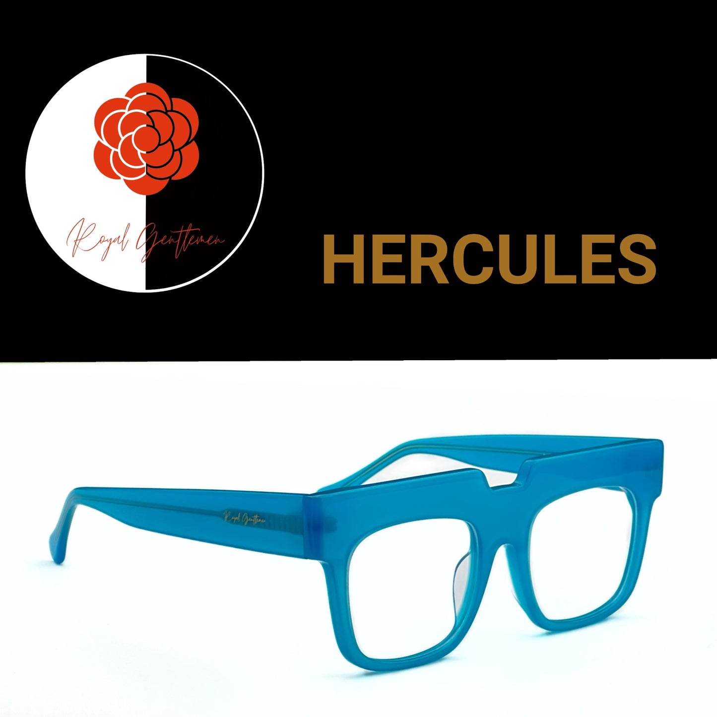 EYEWEAR HERCULES