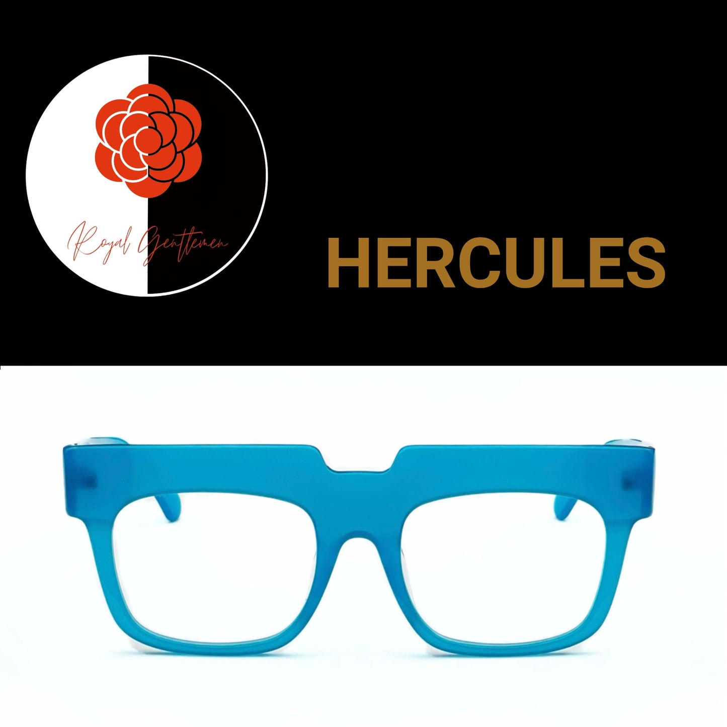 EYEWEAR HERCULES