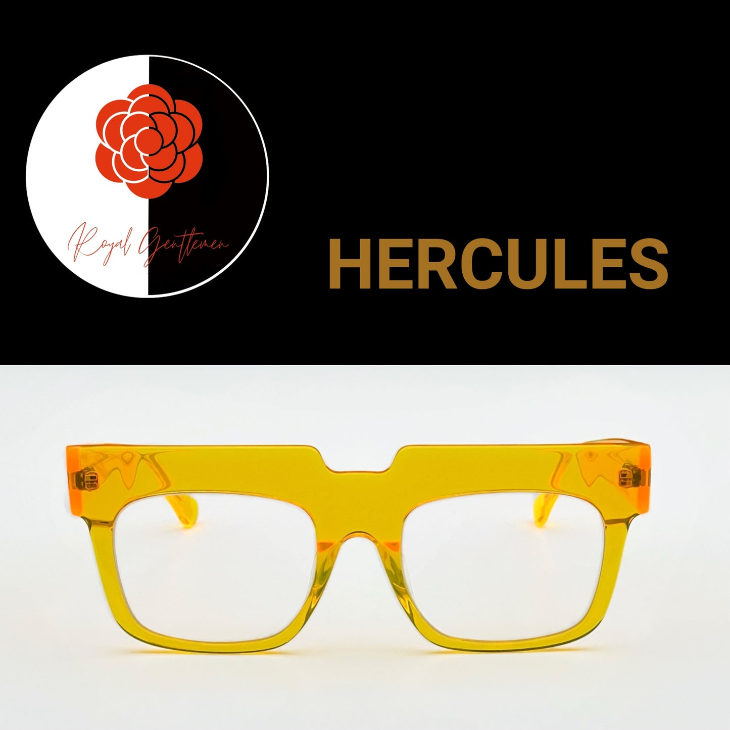 EYEWEAR HERCULES