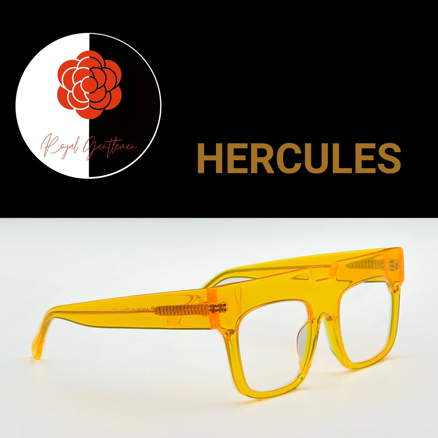 EYEWEAR HERCULES