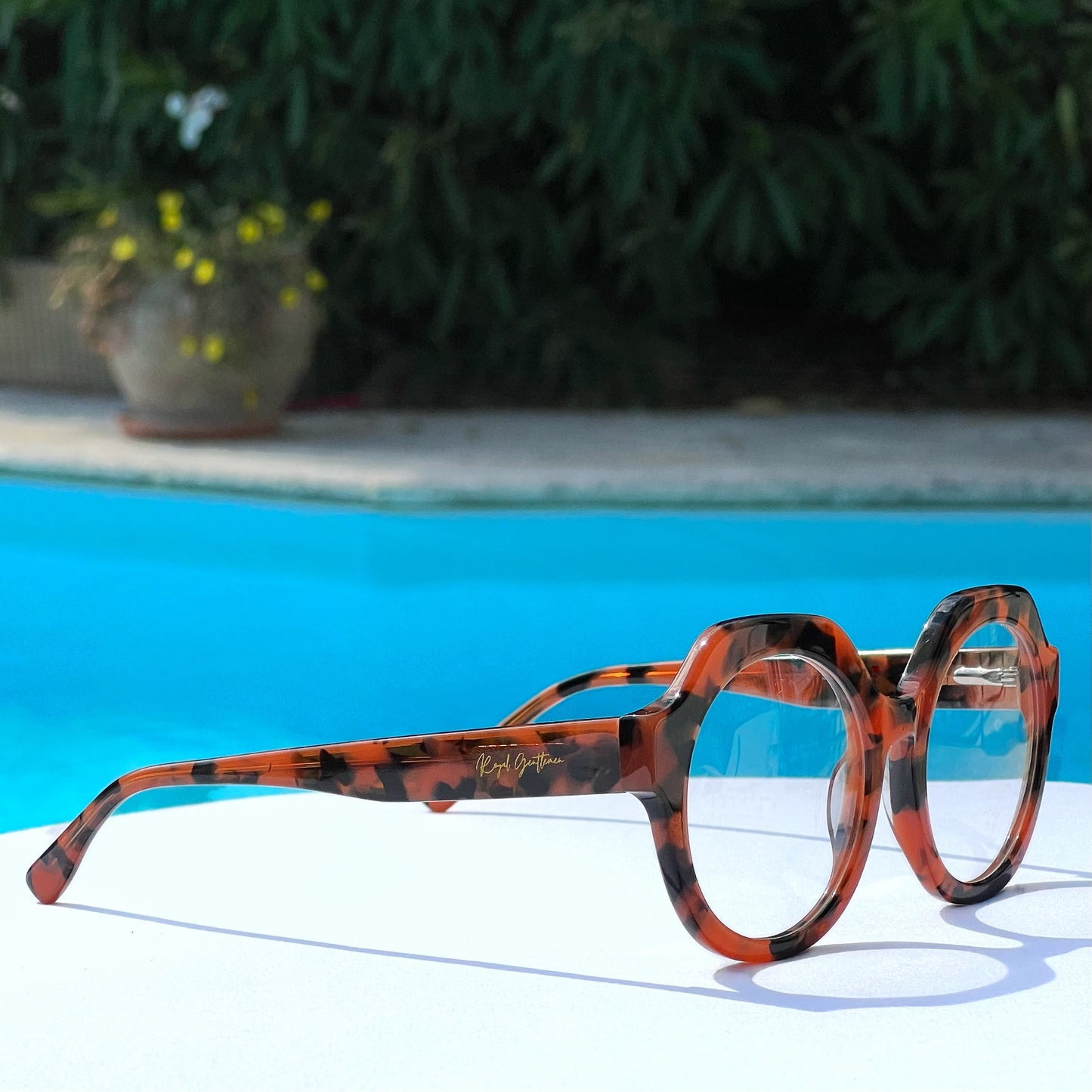 EYEWEAR ERNEST