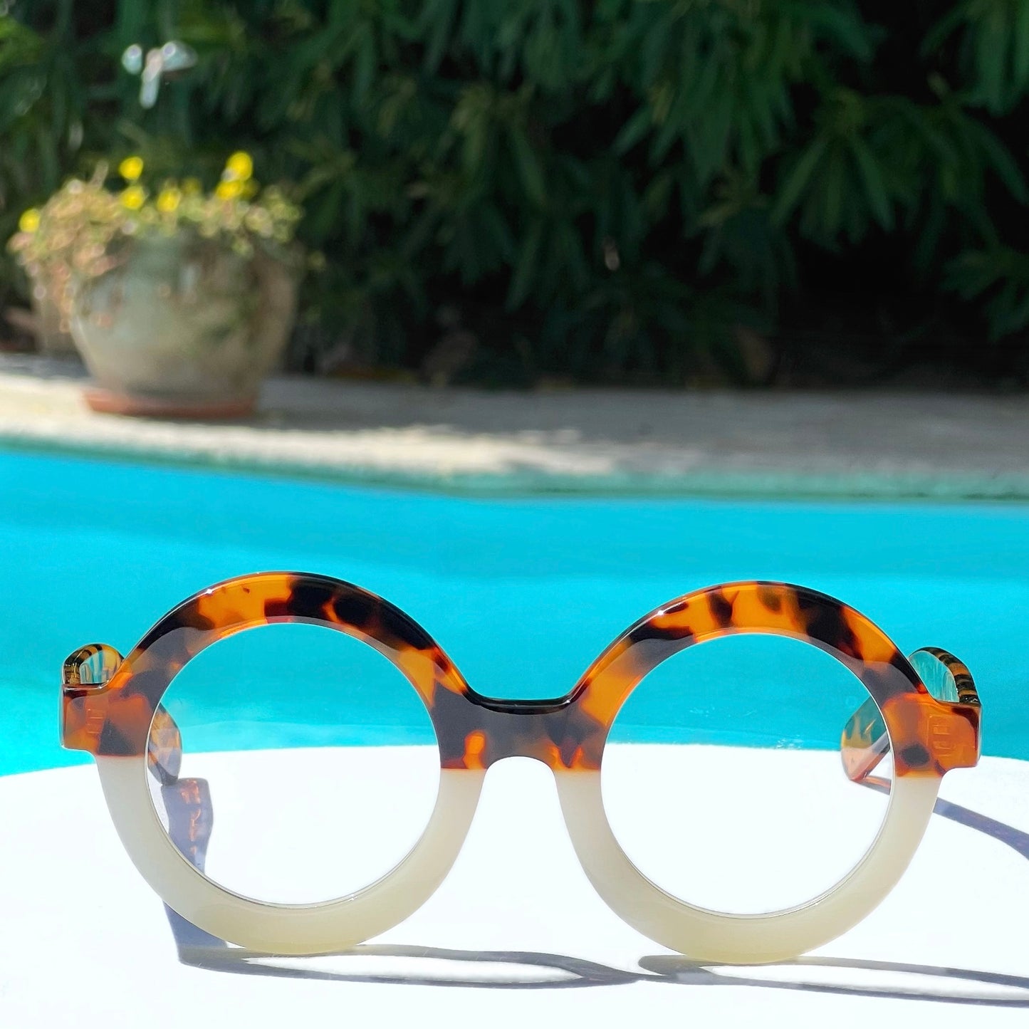 EYEWEAR HARRY