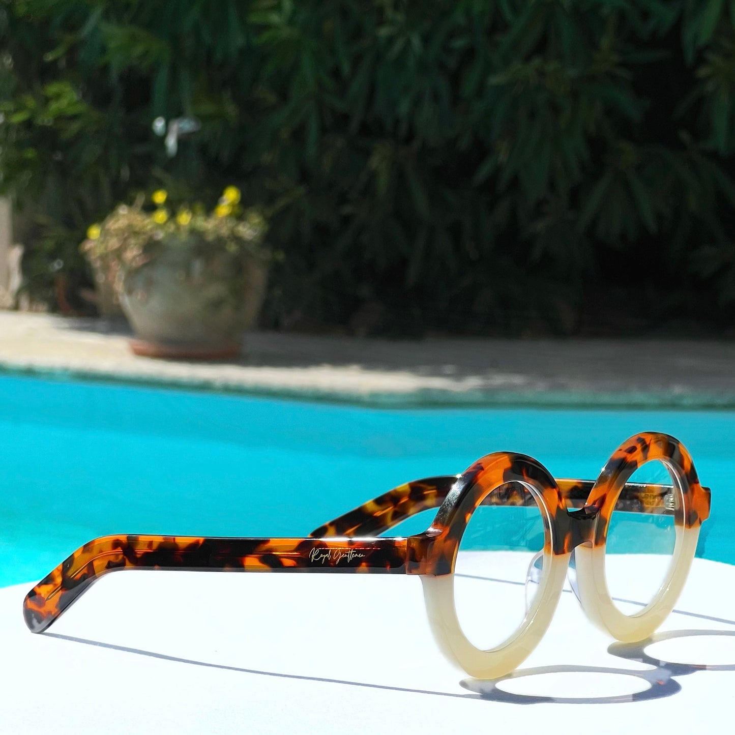 EYEWEAR HARRY